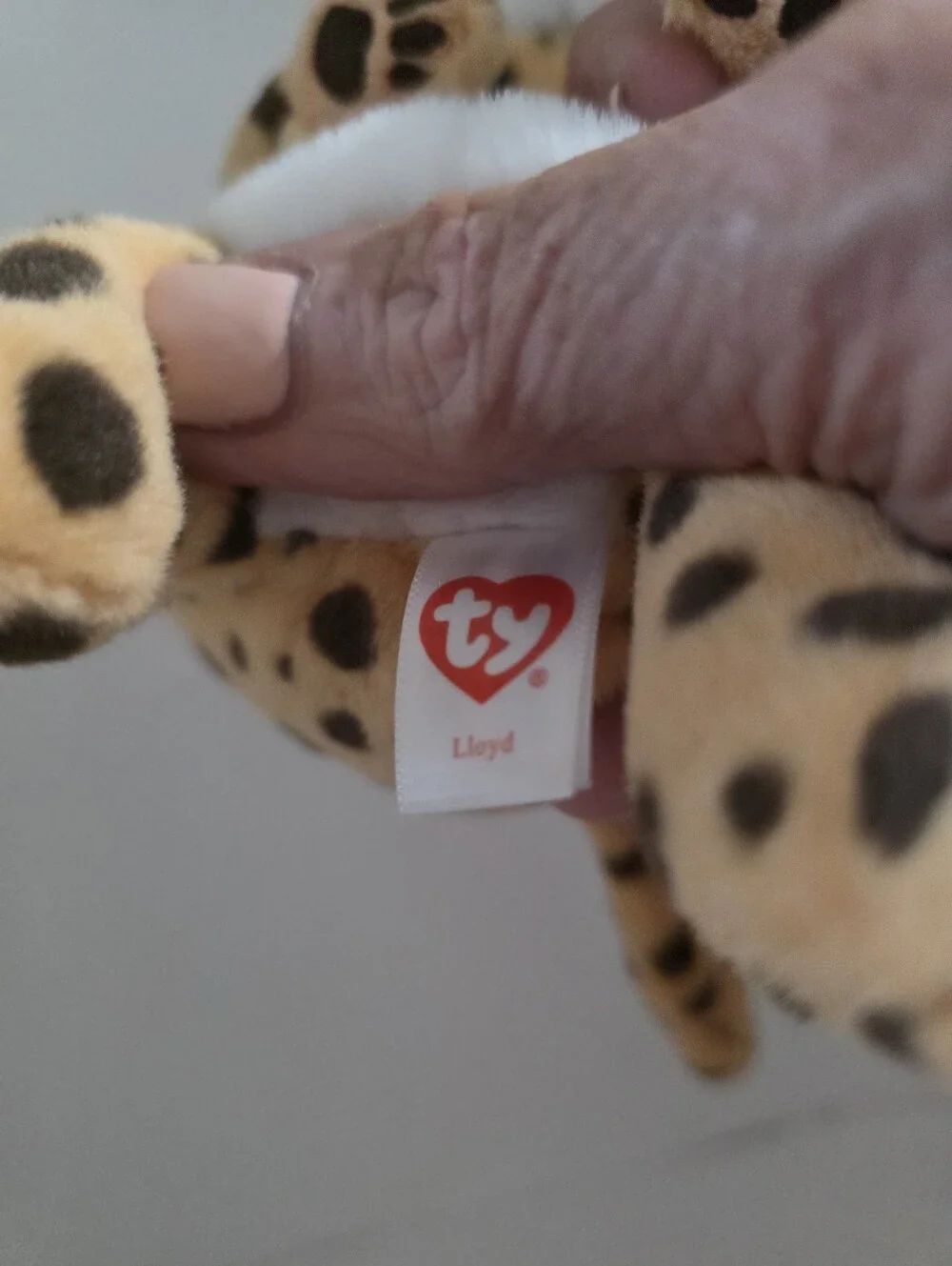 Ty Beanie Baby Bellies 6
